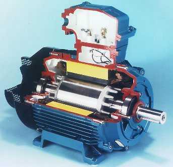 Motor
