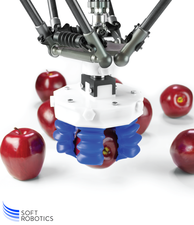 Apples 01