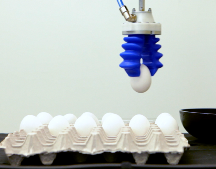 Soft Robotics Eggs 01